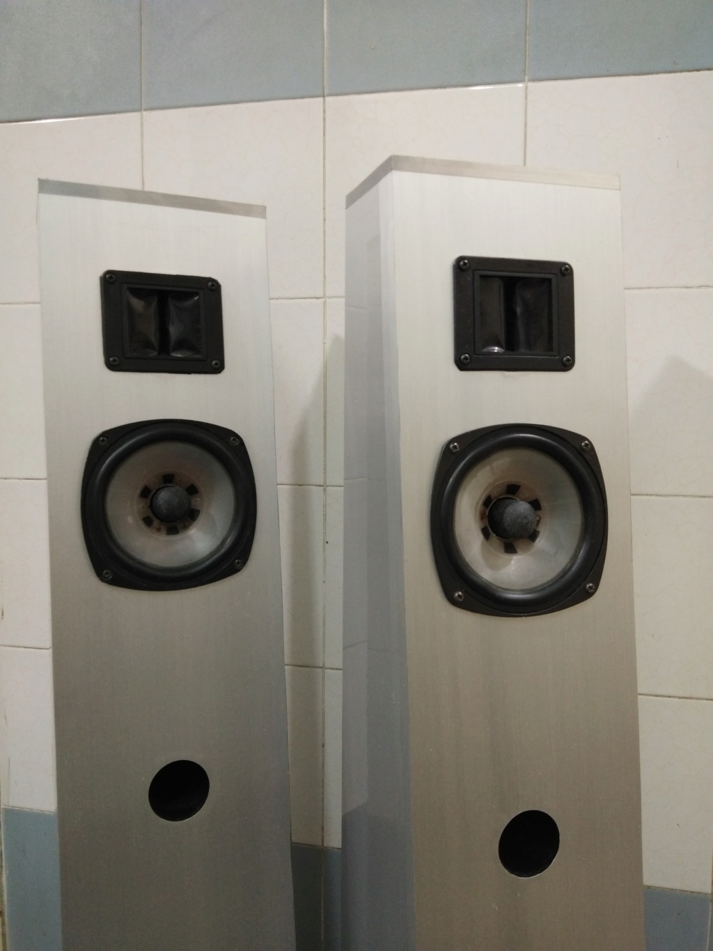 DIY floor standing speakers (sold) Img_2012