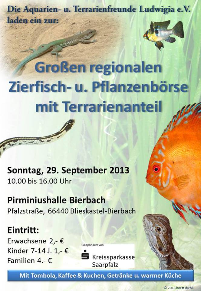 Bourse Aqua/Terrario - Bierbach (DE) - 29 septembre 2013  10131810