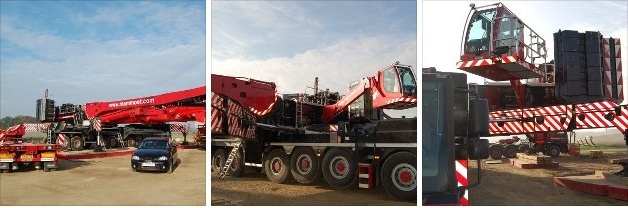 Les plus belles photos de grues (pas les votres) - Page 2 1200_t10