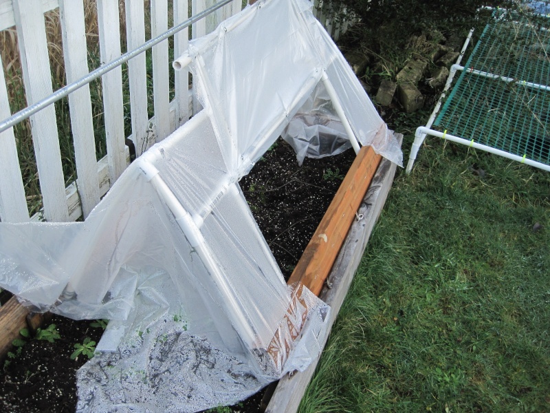 Yet another Cold Frame Januar12