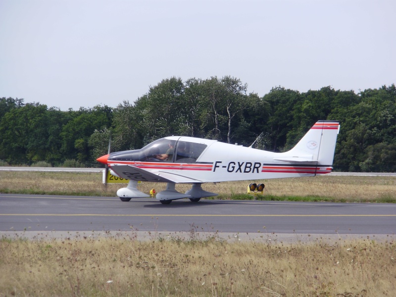 Dash, Cirrus et Robin le 01/09/2010 F-gxbr10