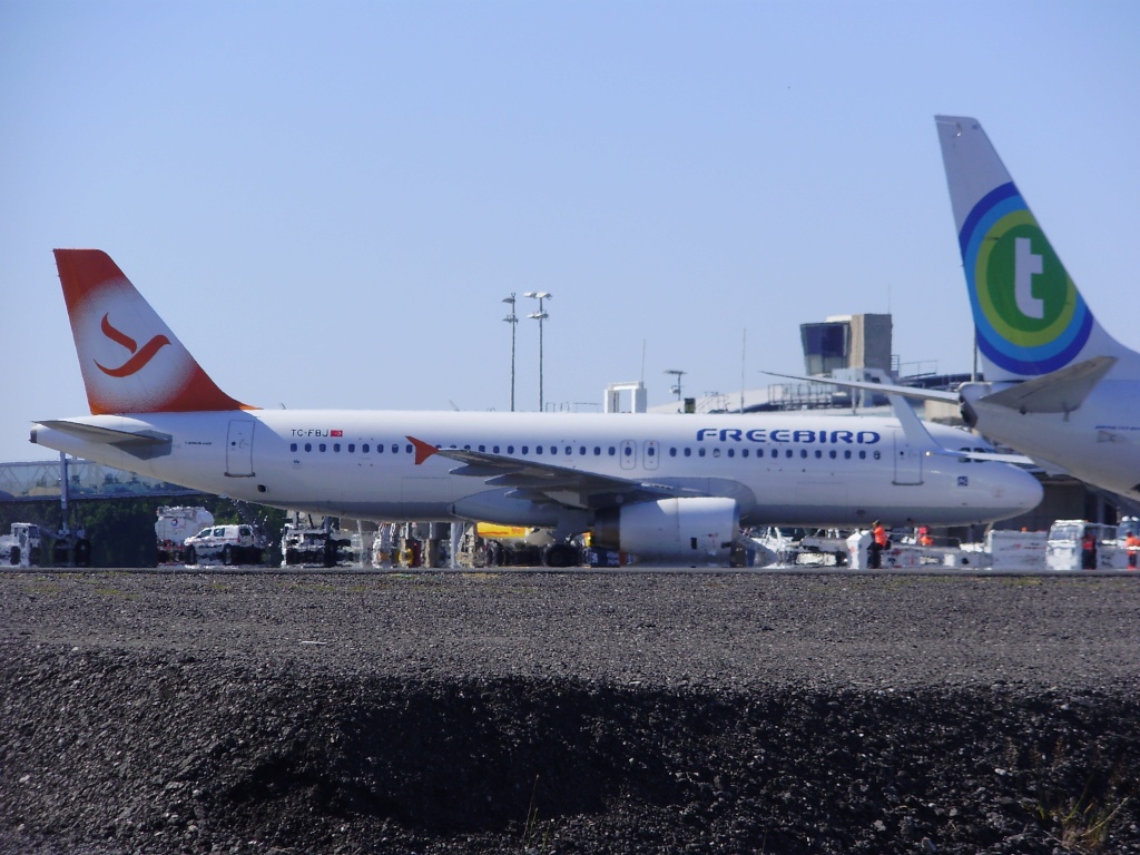 Airbus A320 Freebird (TC-FBJ) le 04/07/2010  Free10