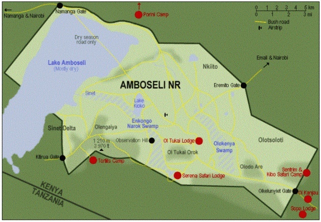 Kenya-Guida/censimento lodge/campi tendati dell'Amboseli NP Ambose12