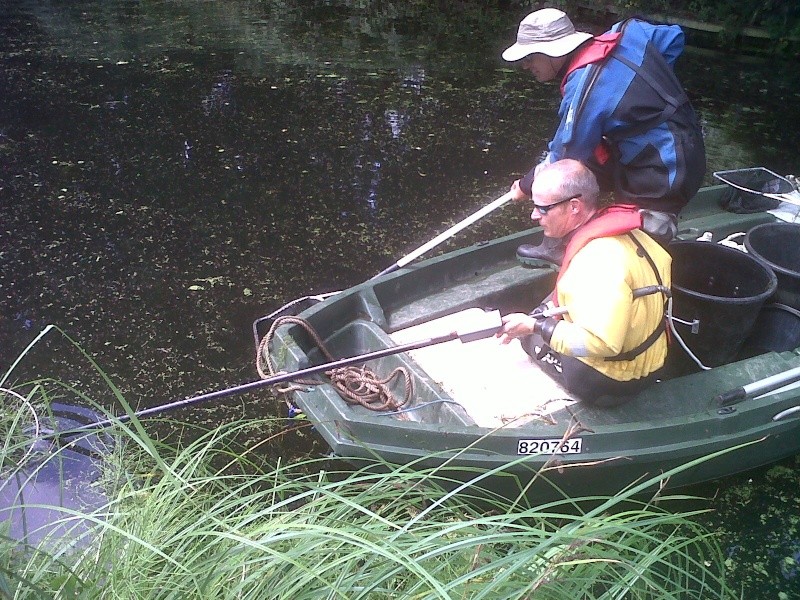 Fish Kill on the Basingstoke Canal Img-2012