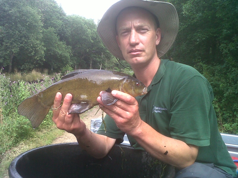 Fish Kill on the Basingstoke Canal Img-2014