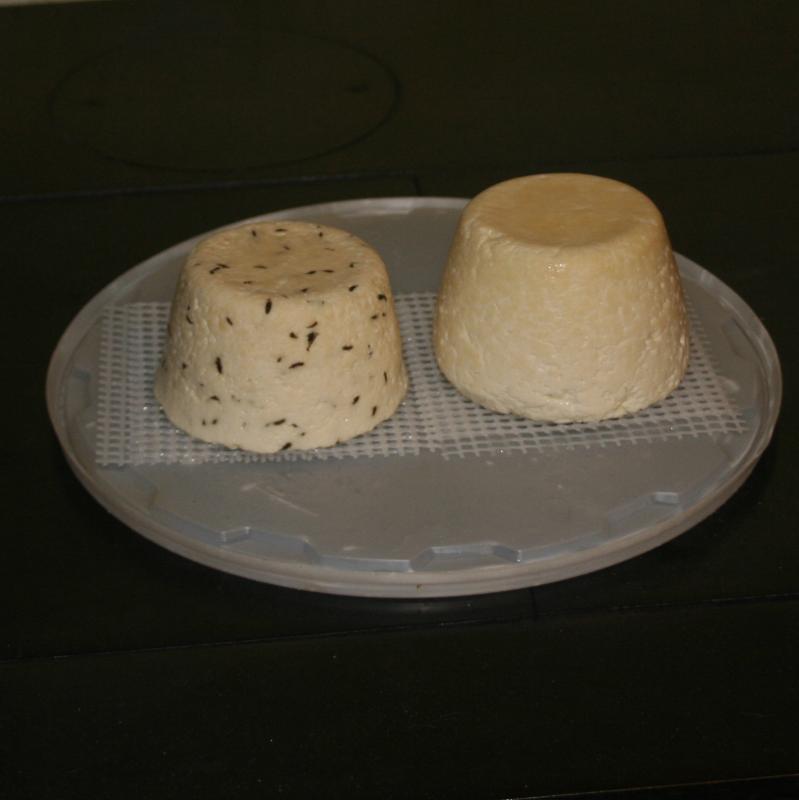fromage blanc fait maison _mg_0410