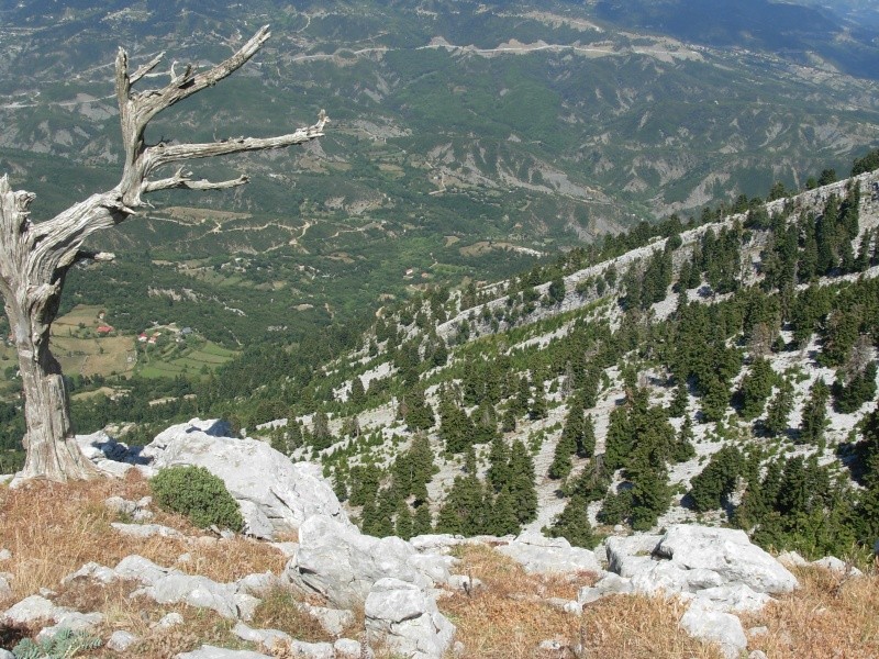 Το Αστροχώρι όπως φαίνετε απο το Αστρί Dscn1513