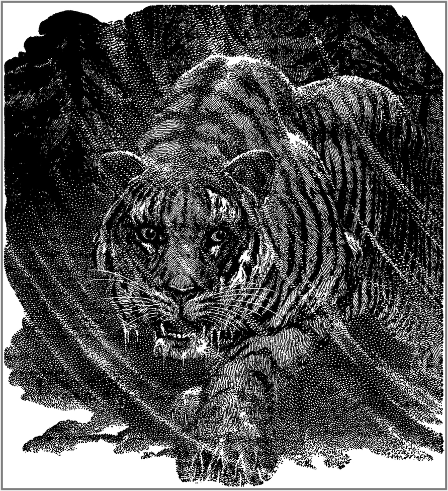 Black and white art from various pulp magazines stories - Page 5 Xxx_1314