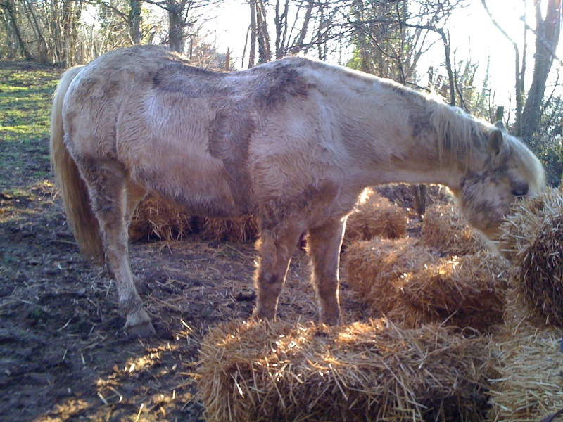 Laeti3859 : rando drome retour plus tot !!! - Page 5 Img_0218