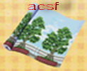 Alcatifa, vendedora de  alfombras y papel de pared Pared_10