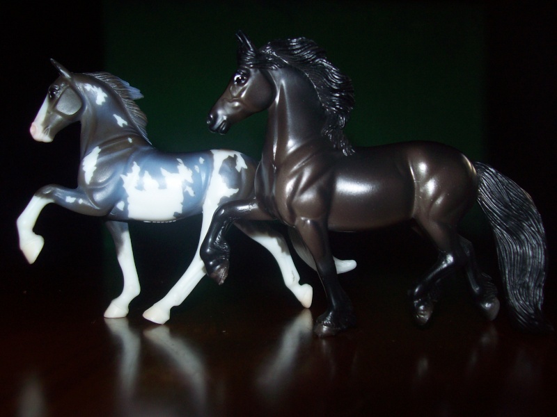 My Wild Horse Charries. 100_0610