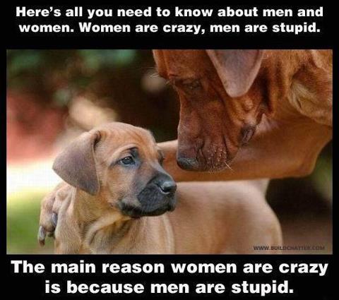 WHY WOMEN ARE CRAZY! 18501410
