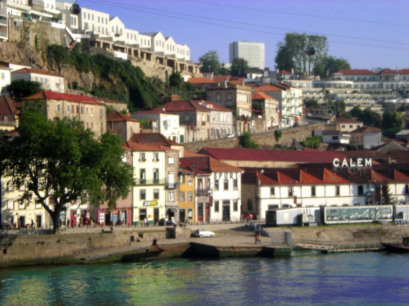 Porto ( Portogallo ) Dscn1819