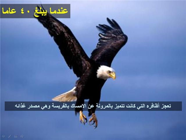 اعرف حياه المخلوقات الاخرى.......................................... 30843_10