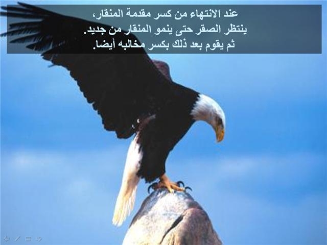 اعرف حياه المخلوقات الاخرى.......................................... 30848_10