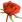 rose rose