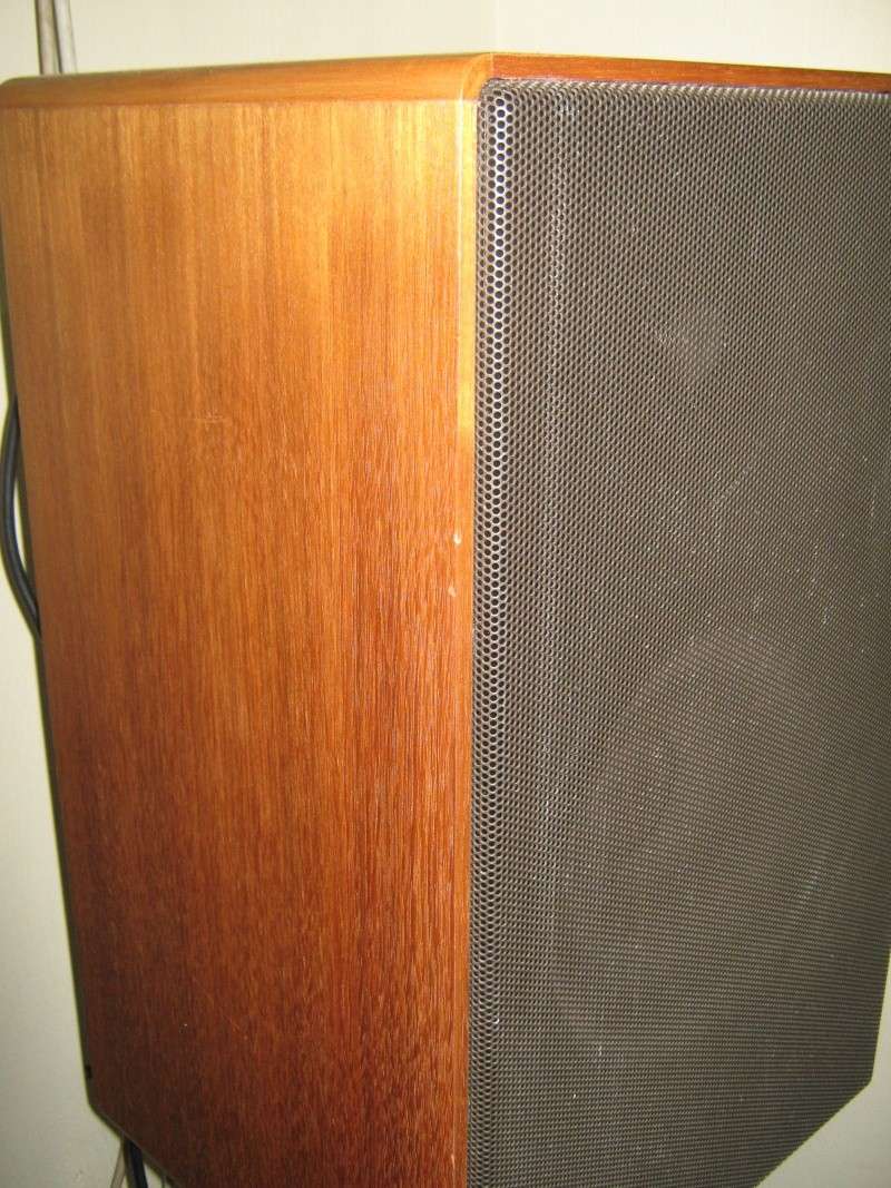 Canton Speaker model GLE100 Img_1112