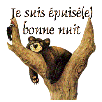 bonne nuit  Je_sui10