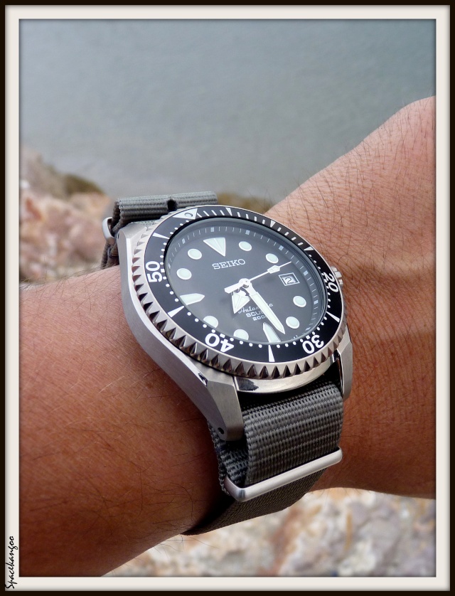 Une Divers Seiko comme prochain achat... oui mais laquelle? P1020410