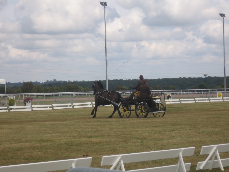 LISIEUX championnat de france  Img_3826