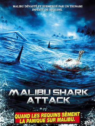 Malibu Shark attack Malibu10