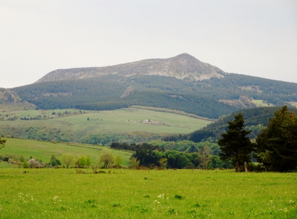 L'Ardèche dans sa splendeur  Dsc04416