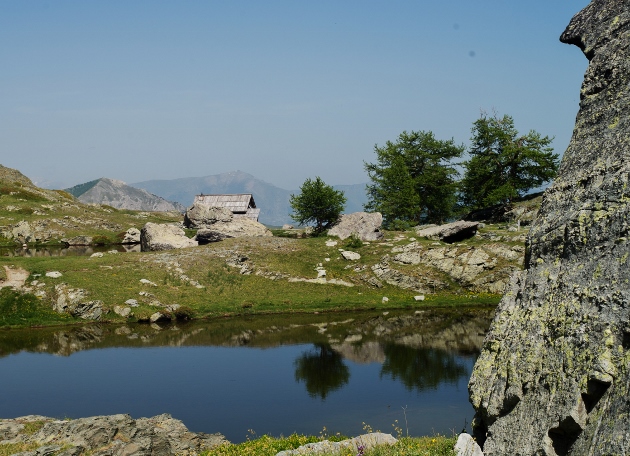 L'esprit des lieux : les mélèzes dans la Vallée des Merveilles Dsc07511