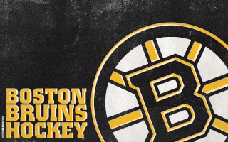 Boston Bruins - San Jose Sharks. Bruins11