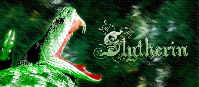 Slytherin, aye? Slythe11