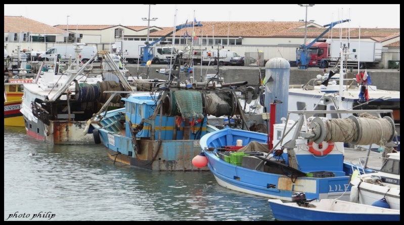 Vacance a  L'île d'Oléron Dsc00615