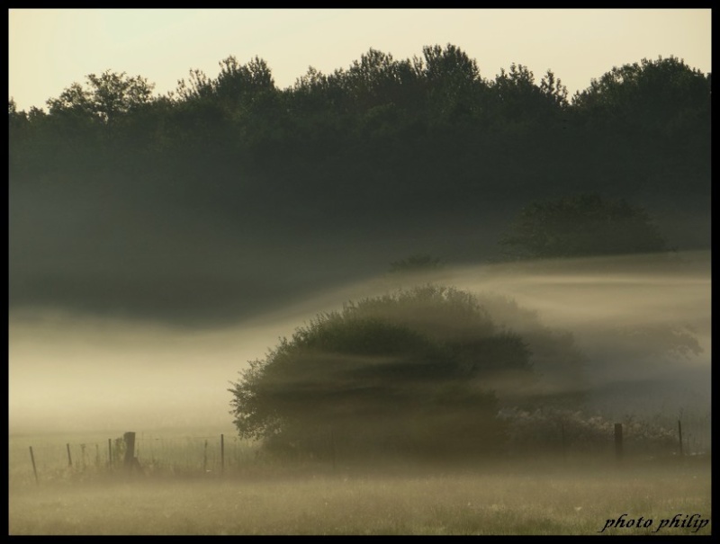 un brouillard dense - Page 2 Dsc01112