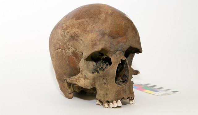 Un craniu misterios ar putea rescrie istoria Australiei! Craniu10