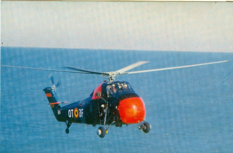 Sikorsky H-34 - Page 2 Elicop10