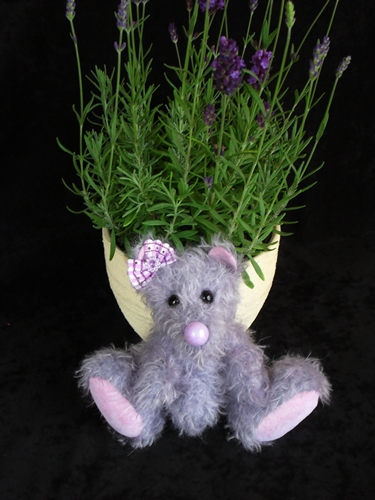 Violetta-Lavender Sdc17918