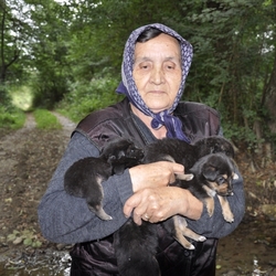 Ce qui a marqué l'année 2010  Chiens10