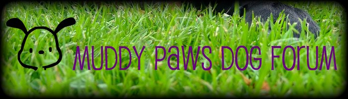 Muddy Paws Dog Forum