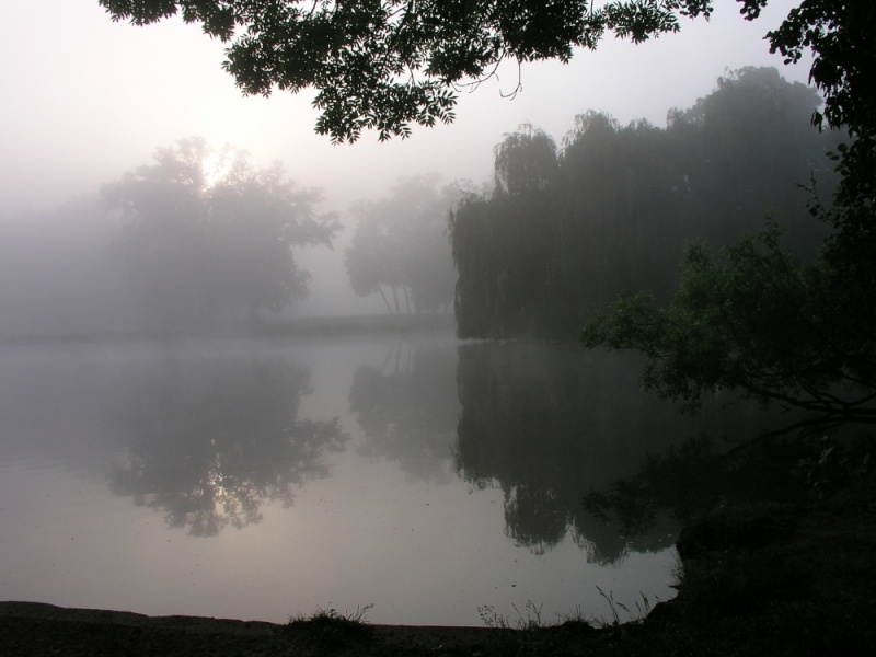 Der See     07mai210