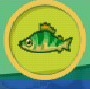 liste des poissons en image Perche10