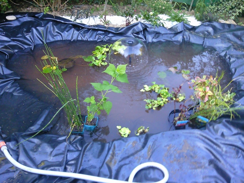 mon petit trou d'eau Photo011