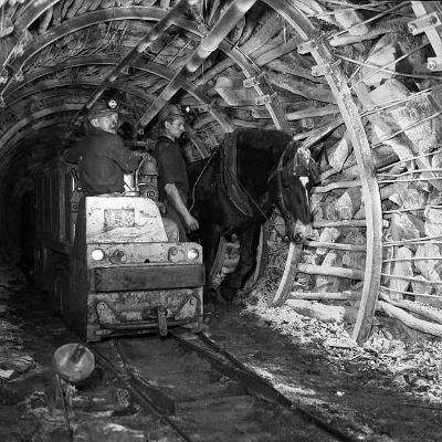 Ma passion : tout sur les mines de charbon et les mineurs (3ème partie) Fenwic13