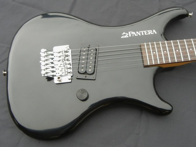 I'll regret this later... ultra rare Pantera X250 for sale Dscn1911