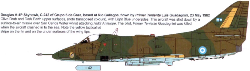 Guerre aérienne aux Malouines : acte II : A4-P Skyhawk Fuerza AErea Argentina 91_15111