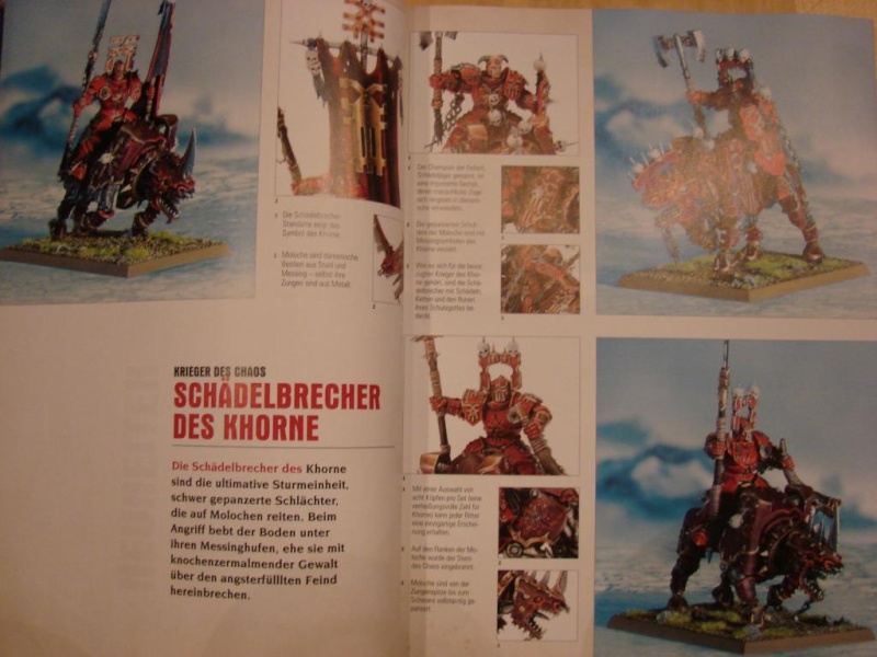 Nouveauté Warhammer Fantasy Batle - Page 2 Dsc08711