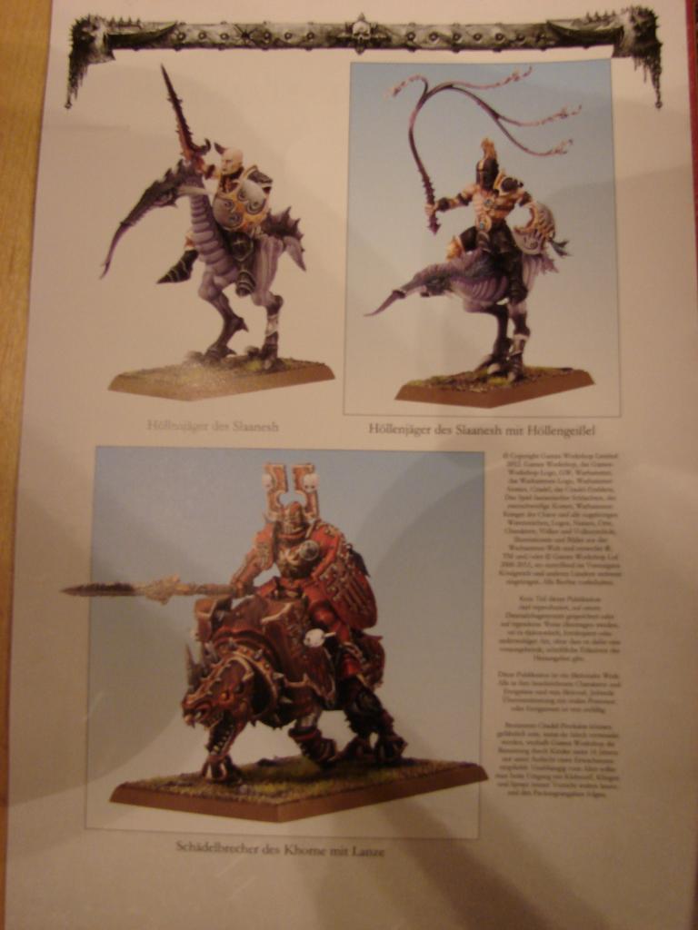 Nouveauté Warhammer Fantasy Batle - Page 2 Dsc08712