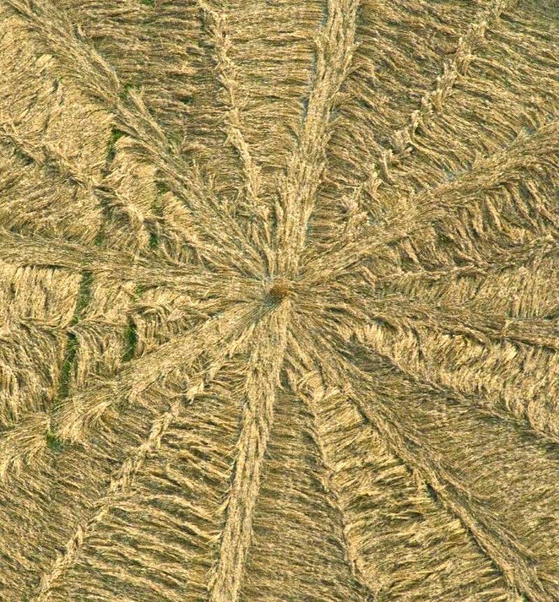 Crop circles année 2012 - Page 10 08410