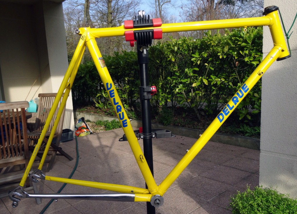 Colnagerckx ou Mercalgo ? Colnag10