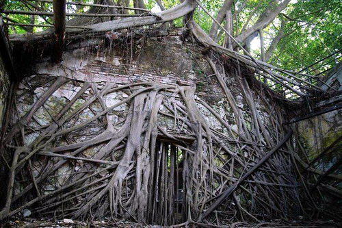 Fotos de una casa abandonada (Taiw an) Lugare10