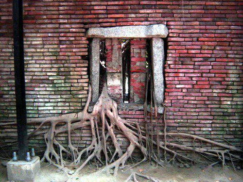 Fotos de una casa abandonada (Taiw an) Lugare11