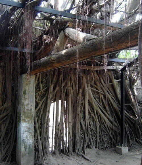 Fotos de una casa abandonada (Taiw an) Lugare12