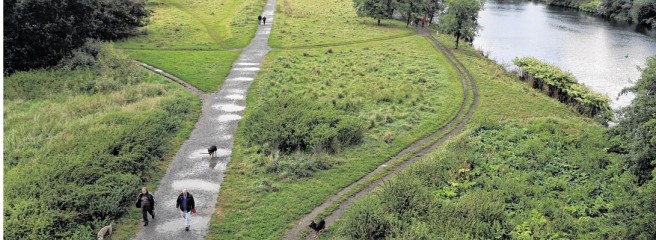 Hundehalter bangen um ihr Paradies Die-hu10